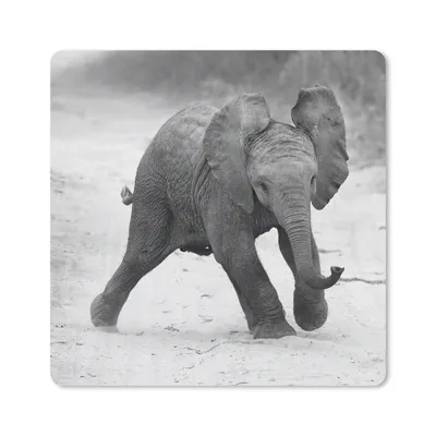 Produktbild von MuchoWow® Mauspad Mousepad Elefant - Baby - Tiere - Kröte - Schwarz und weiß 30x30 cm - Mousepads - Maus Mat - Pad - Mausunterlage - Gaming