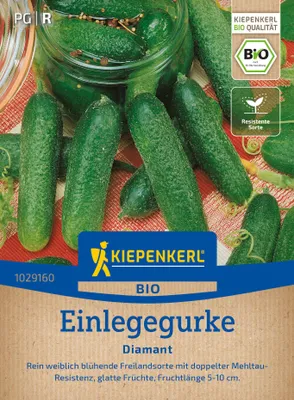 Artikelbild 2 von 'BIO Einlegegurke Diamant F1' aus der Kategorie Einlegegurkensamen