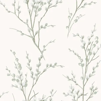 Produktbild von Laura Ashley Vliestapete Weidenkätzchen 1000x52cm