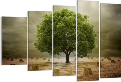 Produktbild von Bild auf Leinwand - Leinwandbild - Baum Feld Umwelt - 150x100cm - Wand Bild - Wanddeko - Leinwanddruck - Bilder - Kunstdruck - Wanddekoration - Leinwand bilder - Wandkunst - EG150x100-2727