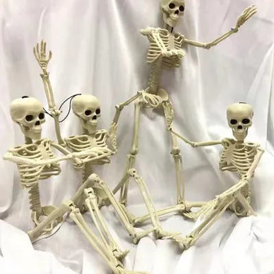Produktbild von 2er-Pack Halloween-Skelett, 40,6 cm, Braut und Bräutigam, realistischer Ganzkörper mit beweglichen Gelenken für gruselige Party-Dekoration