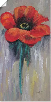 Produktbild von ARTland Poster Roter Mohn II Größe: 20x40 cm