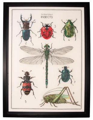 Kreuzstich-Set 'Geschichte der Insekten', Aida, 55x76 cm