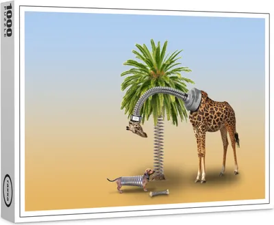 Produktbild von raxxa Premium-Puzzle "Spiraltiere", 1000 Teile