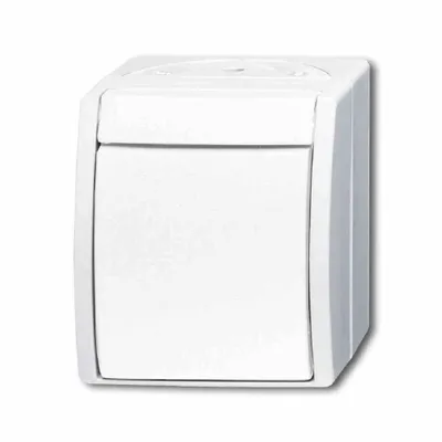 Produktbild von Busch-Jaeger Taster 2621 W-54