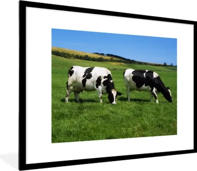 Produktbild von MuchoWow® Gerahmtes Poster Kuh - Tiere - Gras 80x60 cm - Poster mit Schwarzem Bilderrahmen Wandposter Rahmen Foto Bilder - Schlafzimmer-Dekorationen - Fotoposter