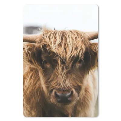Produktbild von MuchoWow® Mauspad Mousepad Schottischer Highlander - Kuh - Gras - Tiere - Natur 18x27 cm - Mousepads - Maus Mat - Pad - Mausunterlage