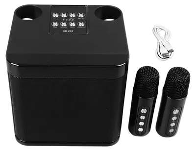 Obrázek produktu pro Bezdrátové karaoke reproduktory, přenosný mini přístroj, Bluetooth reproduktory se 2 mikrofony pro domácnost, večírky, kempování