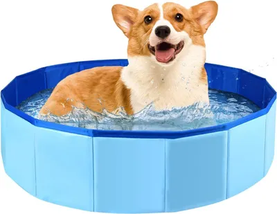Produktbild von Faltbar Hundepool,PVC Hundepool,Schwimmbad für Hund,Hunde Planschbecken für Haustiere,Faltbarer Hundepool für Kleine Hunde, 50 x10 cm