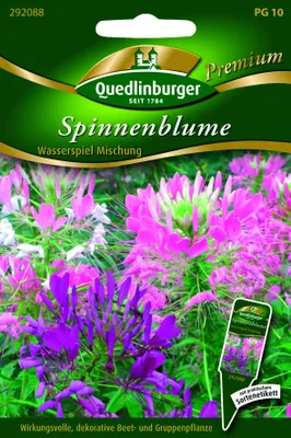 Produktbild von Quedlinburger Saatgut - Spinnenblume Wasserspiel Mischung - Samen - 292088