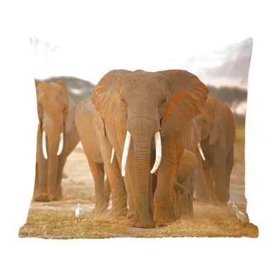 Produktbild von MuchoWow® Zierkissen Sofakissen Wohnzimmer Dekokissen 45x45 cm Familie der Elefanten - Schlafpolster - Polster für das Sofa
