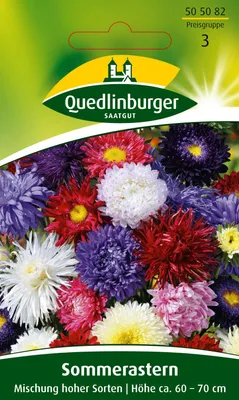 Produktbild von Quedlinburger Saatgut - Sommer-Astern Mischung hoher Sorten - Samen - 505082
