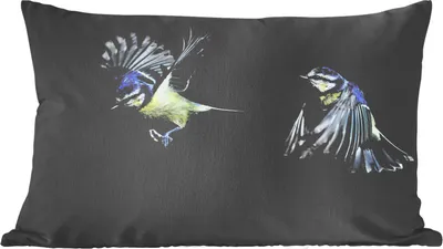 Produktbild von MuchoWow® Zierkissen Sofakissen Wohnzimmer Dekokissen 60x40 cm Vogel - Federn - Porträt - Kopfkissen - Polster mit Foto