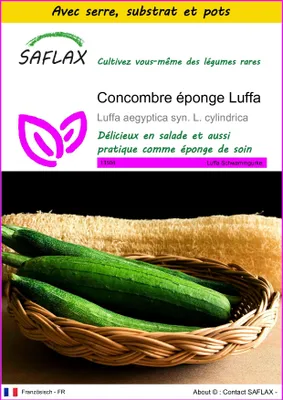 Image de SAFLAX Ensemble de culture - Concombre éponge Luffa - 10 graines - Luffa