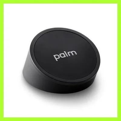 Produktbild von Palm Touchstone