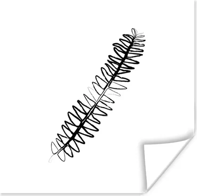 Produktbild von MuchoWow® Poster Pflanzen - Strichzeichnung - Blätter - Schwarz - Weiß 50x50 cm - Wohnzimmerdekoration