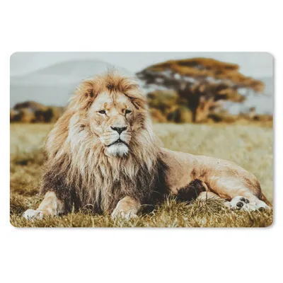 Produktbild von MuchoWow® Schreibtischunterlage Löwen - Wild - Afrika 60x40 cm - XXL Mauspad - Großes Mauspad