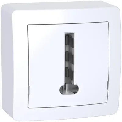 Image de Conjoncteur téléphonique ALRÉA - SCHNEIDER ELECTRIC - 8 plots avec cadre saillie - SHN0262366P