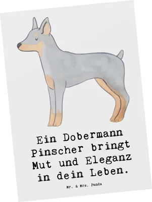 Produktbild von Mr. & Mrs. Panda Postkarte Dobermann Pinscher - Weiß - Geschenk, Familienhund, Loyalität, Ansichtskarte, Postkarten, Mut, anmutig, Hunderasse, Fotokarte, Treue, Grußkarte