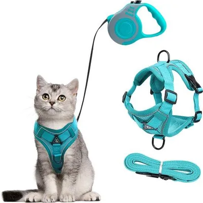 Produktbild von Famanu Katzenharnisch und Katzenleine Set - Rückziehbare Leine für Katzen und kleine Hunde