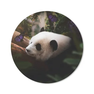 Produktbild von MuchoWow® Mauspad Mousepad Tiere - Dschungel - Panda 20x20 cm - Mousepads - Maus Mat - Pad - Mausunterlage - Schreibtischmatte