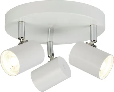 Obrázek produktu pro Stropní reflektor kovový LED se stmívačem nastavitelný Ø 26 cm kulatý bílý 3000 K teplé bílé světlo 1050 lm