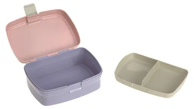 Produktbild von LÄSSIG Kinder Lunchbox Brotdose mit herausnehmbarer Unterteilung, BPA-frei/Rainbow