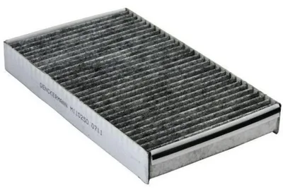 Immagine prodotto di EBG Filtro abitacolo antipolline Fiat 46513960