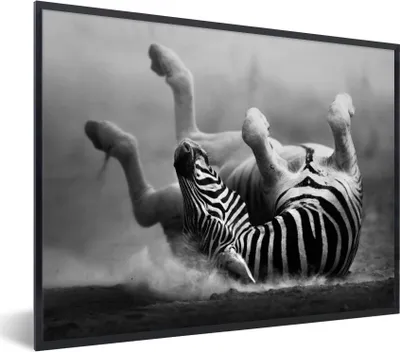 Produktbild von MuchoWow® Gerahmtes Poster Zebra - Tiere - Schwarz - Weiß 80x60 cm - Poster mit Schwarzem Bilderrahmen Wandposter Rahmen Foto Bilder - Schwarzem - Mit Gestell