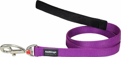 Produktbild von Hundeleine Red Dingo Lila (2.5 x 120 cm)