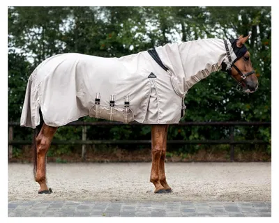 Produktbild von Ekzemdecke mit Hoodie, Halsteil und Bauchlatz (155 cm, beige)
