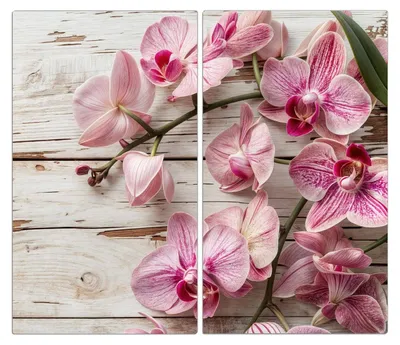 Produktbild von Spritzschutz Herdabdeckplatte Schneidebrett aus Glas Orchideen auf Holz 2-Teilig (60x52cm)