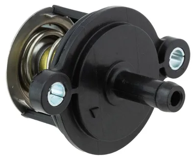 Obrázek produktu pro Termostat FORD C-Max Fiesta Mk6 Focus III Transit 1.0 EcoBoost