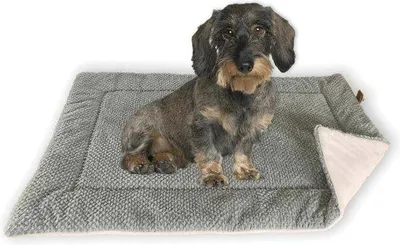 Produktbild von Famanu Hundedecke Größe S - Plüschig und Weich - Waschbar - Ideal für Kleine Hunde und Katzen