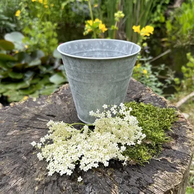 Produktbild von Eimer als Blumentopf, klein, Übertopf in Antik-Zink, Tischeimer, Zinktopf