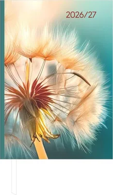 Produktbild von Campustimer Kalender 2027 Blowballs A5 (14,8x20,8 cm) Hardcover Wochenübersicht