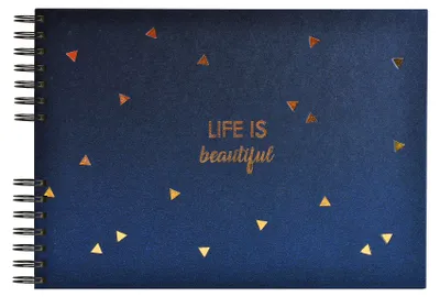 Immagine prodotto di Exacompta 16452E Album a spirale 50 pagine nero 32x22cm LIFE Blu