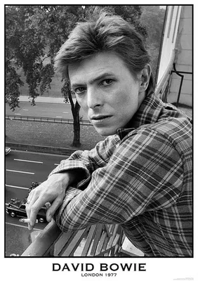 Obrázok produktu pre David Bowie – Londýn, 1977 – Plagát – 59x84 cm