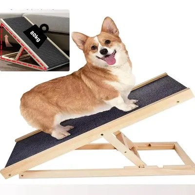 Image de Ramp pour chiens - Rampe d'accès pour chiens - Bois massif - Surface antidérapante - 70 x 35 x 30/40 cm