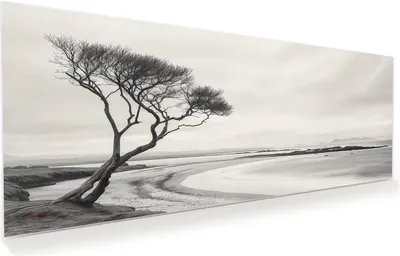 Produktbild von Glasbild 125x50cm in XXL für Wohnzimmer, Schlafzimmer Motiv Einsamer Baum am Meer