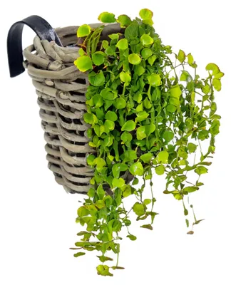 Produktbild von VAN DER LEEDEN Einhängekorb Rund Grau Ø 15 cm mit Folienauskleidung