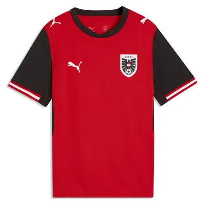 Produktbild von PUMA FB Home Jersey Replica Jr 164
