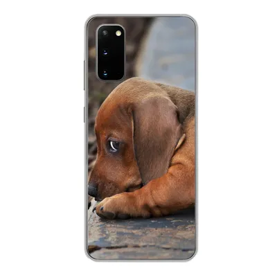 Produktbild von MuchoWow® Handyhülle Schutzhülle Hülle für Samsung Galaxy S20 Dackelwelpe liegt am Rande des Bürgersteigs Silikon Softcase Handy Hülle - Bild
