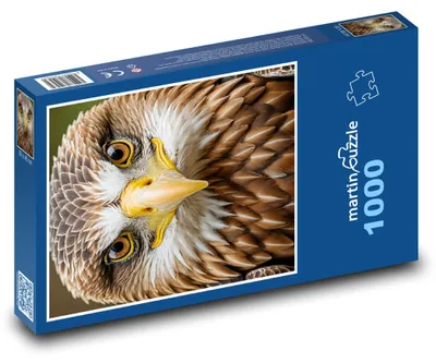 Zdjęcie produktu dla Puzzle 1000 Orzeł z bliska - martinpuzzle
