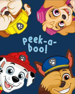 Obrázok produktu pre Detská deka Paw Patrol II