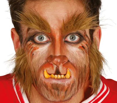 Immagine prodotto di Barba e sopracciglia da lupo mannaro
