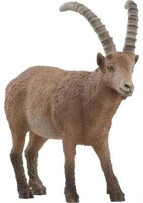 Immagine prodotto di Schleich Wild Life 14873 Stambecco