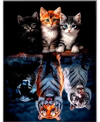 Image de NORIMPEX Diamantov petit chat et bête 30 x 40 cm