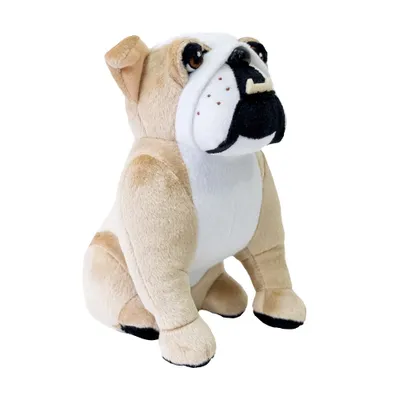 Produktbild von WP MERCHANDISE - Bulldogge Biscuit plüschtier (20 cm)