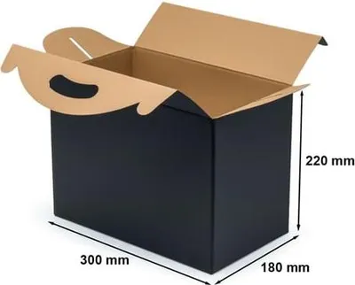 Obrázek produktu pro Box s rukojetí F217 300 x 180 x 220 mm, černý